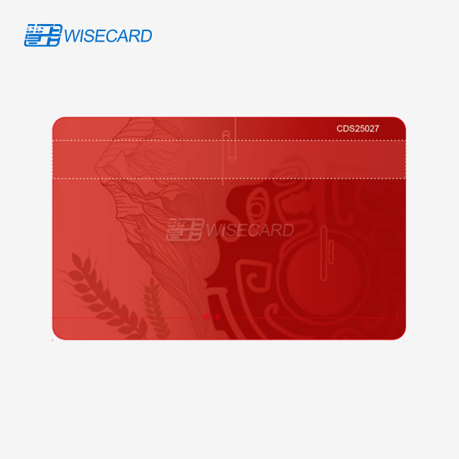 Hidden Magnetic Stripe Card
